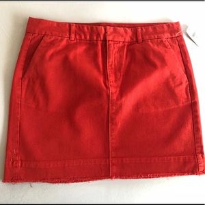 Gap Skirt